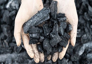 Coal Fields Level Switch